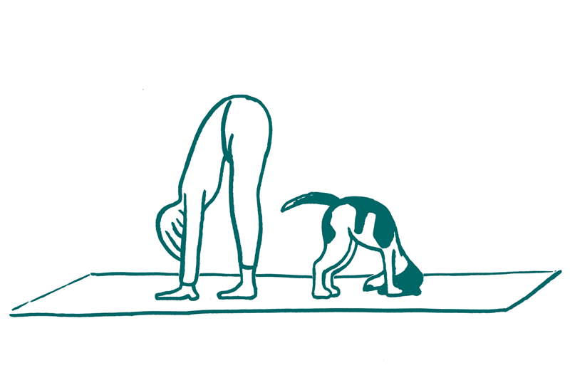 Yoga mit Hund_Illustration