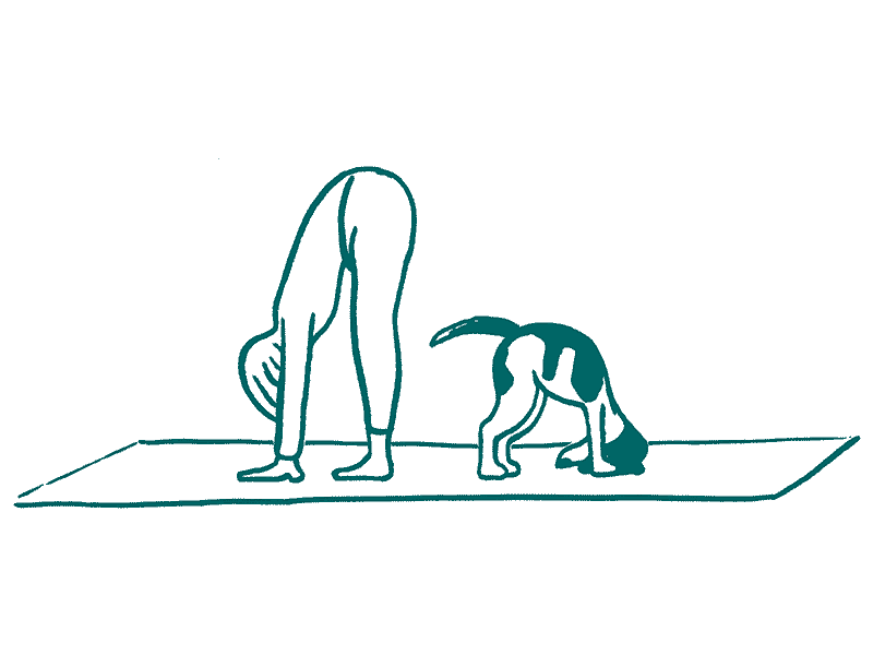 Animation Illustration Yoga mit Hund